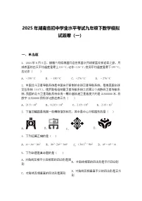 2025年湖南省初中学业水平考试九年级下数学模拟试题卷（一）（含答案解析）