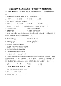 2024-2025学年上海市九年级下学期初中中考模拟数学试题-自定义类型