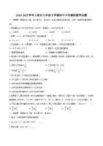 2024-2025学年上海市九年级下学期初中中考模拟数学试题-自定义类型