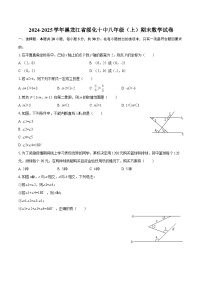 2024-2025学年黑龙江省绥化十中八年级（上）期末数学试卷-自定义类型