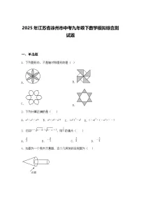 2025年江苏省徐州市中考九年级下数学模拟综合测试题（含答案解析）
