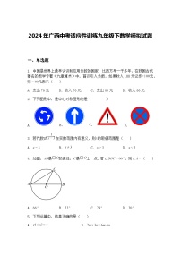 2024年广西中考适应性训练九年级下数学模拟试题（含答案解析）