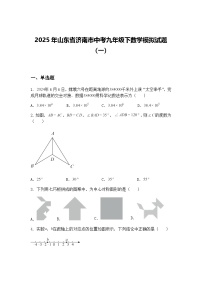 2025年山东省济南市中考九年级下数学模拟试题（一）（含答案解析）