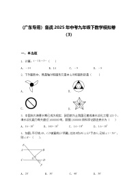 (广东专用）备战2025年中考九年级下数学模拟卷（3）（含答案解析）
