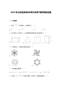 2025年山东省滨州市中考九年级下数学模拟试题（含答案解析）