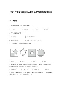 2025年山东省泰安市中考九年级下数学模拟测试题（含答案解析）