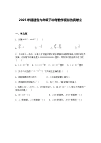 2025年福建省九年级下中考数学模拟仿真卷②（含答案解析）