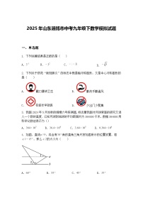 2025年山东淄博市中考九年级下数学模拟试题（含答案解析）