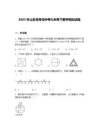 2025年山东省青岛中考九年级下数学模拟试题（含答案解析）