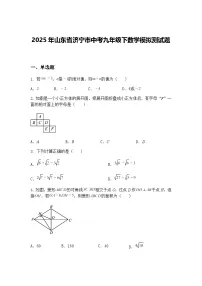 2025年山东省济宁市中考九年级下数学模拟测试题（含答案解析）