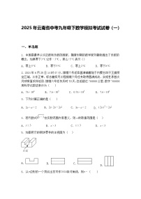 2025年云南省中考九年级下数学模拟考试试卷（一）（含答案解析）