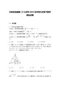 甘肃省武威第二十七中学2025年中考九年级下数学模拟试卷（含答案解析）