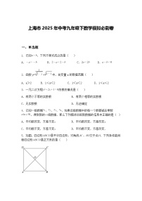 上海市2025年中考九年级下数学模拟必刷卷（含答案解析）