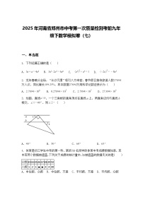 2025年河南省郑州市中考第一次质量检测考前九年级下数学模拟卷（七）（含答案解析）