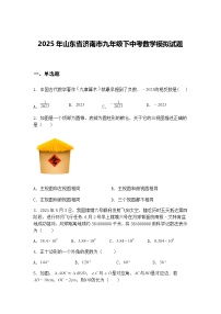 2025年山东省济南市九年级下中考数学模拟试题（含答案解析）