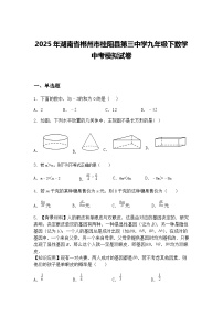 2025年湖南省郴州市桂阳县第三中学九年级下数学中考模拟试卷（含答案解析）