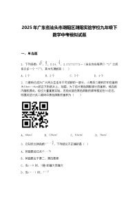 2025年广东省汕头市潮阳区潮阳实验学校九年级下数学中考模拟试题（含答案解析）