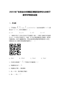 2025年广东省汕头市潮阳区潮阳实验学校九年级下数学中考模拟试题（含答案解析）