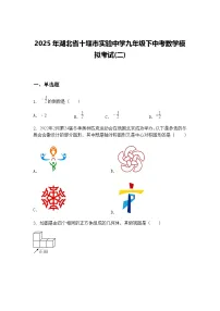 2025年湖北省十堰市实验中学九年级下中考数学模拟考试(二)（含答案解析）