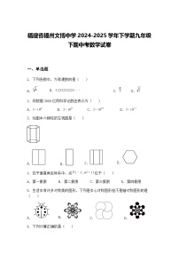 福建省福州文博中学2024-2025学年下学期九年级下期中考数学试卷（含答案解析）