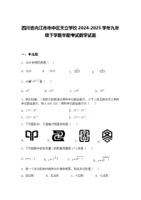 四川省内江市市中区天立学校2024-2025学年九年级下学期半期考试数学试题（含答案解析）