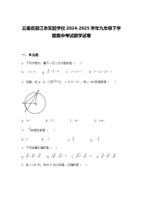 云南省丽江市实验学校2024-2025学年九年级下学期期中考试数学试卷（含答案解析）