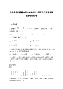 宁夏吴忠市第四中学2024-2025学年九年级下学期期中数学试卷（含答案解析）