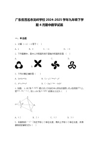 广东省茂名市龙岭学校2024-2025学年九年级下学期4月期中数学试题（含答案解析）