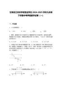 甘肃省兰州市学府致远学校2024-2025学年九年级下学期中考押题数学试卷（一）（含答案解析）