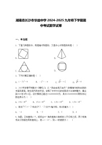 湖南省长沙市华益中学2024-2025九年级下学期期中考试数学试卷（含答案解析）