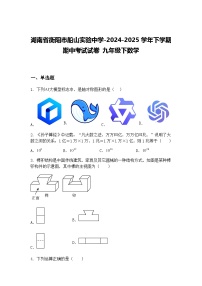 湖南省衡阳市船山实验中学-2024-2025学年下学期期中考试试卷 九年级下数学（含答案解析）