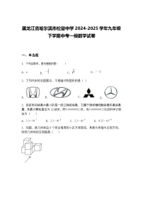 黑龙江省哈尔滨市松雷中学2024-2025学年九年级下学期中考一模数学试卷（含答案解析）
