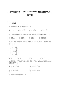 2024-2025学年湘教版九年级下册期中综合评价数学试卷（含答案解析）