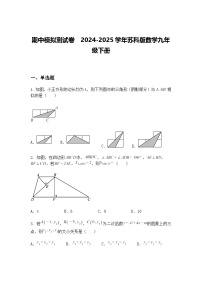 期中模拟测试卷  2024-2025学年苏科版数学九年级下册（含答案解析）