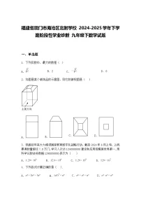 福建省厦门市海沧区北附学校 2024-2025学年下学期阶段性学业诊断 九年级下数学试题（含答案解析）