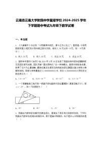 云南省云南大学附属中学星耀学校2024-2025学年下学期期中考试九年级下数学试卷（含答案解析）