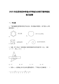 2025年北京市初中学业水平考试九年级下数学模拟练习试卷（含答案解析）