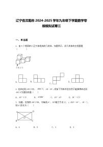 辽宁省沈阳市2024-2025学年九年级下学期数学零模模拟试卷三（含答案解析）