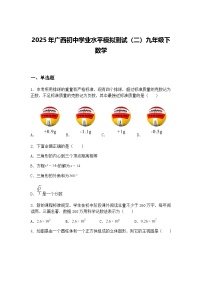 2025年广西初中学业水平模拟测试（二）九年级下数学（含答案解析）