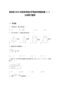 贵州省2025年初中学业水平考试中考模拟卷（一）九年级下数学（含答案解析）
