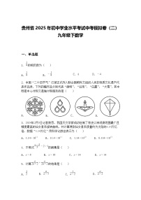贵州省2025年初中学业水平考试中考模拟卷（二）九年级下数学（含答案解析）