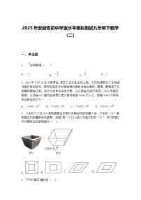 2025年安徽省初中学业水平模拟测试九年级下数学（二）（含答案解析）