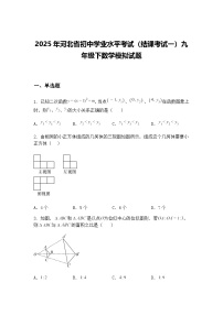 2025年河北省初中学业水平考试（结课考试一）九年级下数学模拟试题（含答案解析）