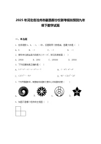 2025年河北省沧州市献县部分校联考模拟预测九年级下数学试题（含答案解析）