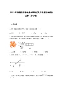 2025年陕西省初中学业水平考试九年级下数学模拟试卷（平行卷）（含答案解析）