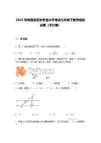 2025年陕西省初中学业水平考试九年级下数学模拟试卷(平行卷)(含答案解析)