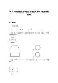 2025年陕西省初中学业水平考试九年级下数学模拟样卷(含答案解析)