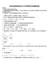 桂林市龙胜各族自治县2025年中考数学对点突破模拟试卷含解析