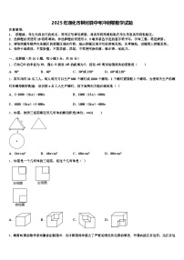 2025年通化市柳河县中考冲刺卷数学试题含解析