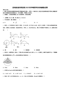吉林省松原市乾安县2025年中考数学对点突破模拟试卷含解析